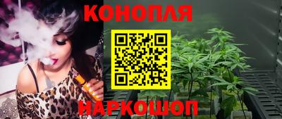 гидра Волгодонск