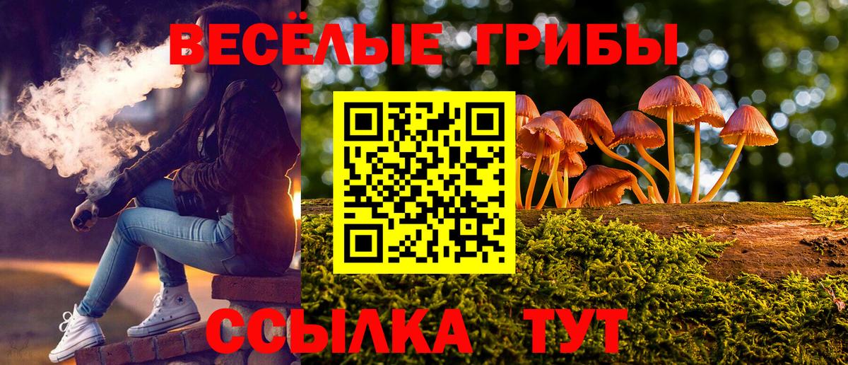 Псилоцибиновые грибы MAGIC MUSHROOMS Ессентуки