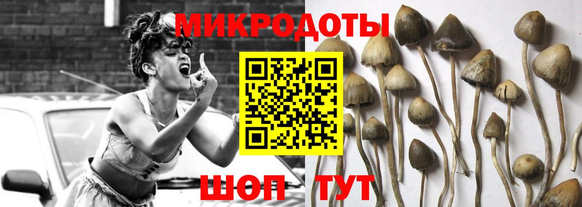Ессентуки  Галлюциногенные грибы MAGIC MUSHROOMS  Вход с VPN 